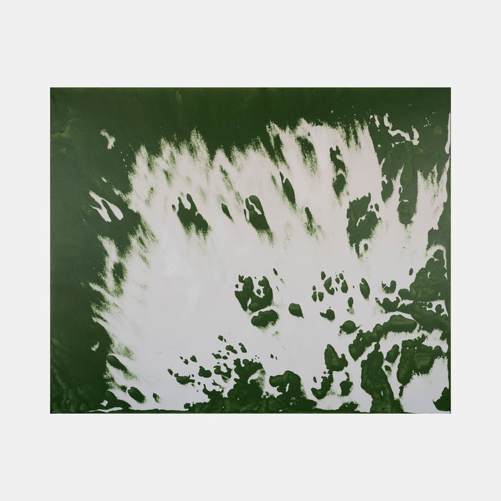 The artwork 'Biophilia 13' by George Stanojevic features a dynamic abstract composition with explosive white patterns against a deep forest green background. The organic shapes suggest natural phenomena, with paint splatter effects creating a dramatic contrast reminiscent of aerial vegetation views. The textural interplay demonstrates the influence of natural elements on canvas by George Stanojevic.