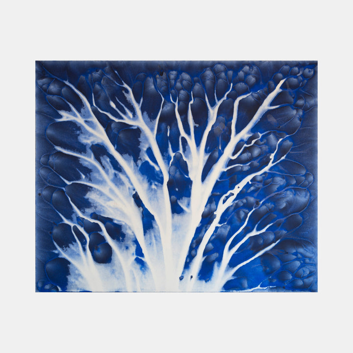 The artwork 'Biophilia 15' by George Stanojevic features a striking organic tree-like formation in luminous white against a deep cobalt blue background. The branches spread upward in delicate, crystalline patterns, creating a naturally flowing composition with textural elements resembling organic cellular structures. The medium interacts with natural elements, producing ethereal effects.