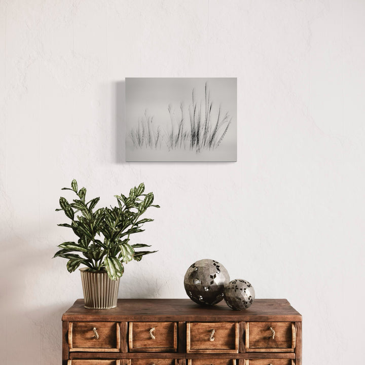 The artwork 'Feather Grass in Snow' by Neil Shapiro captures delicate grass stalks emerging through winter snow in a minimalist black and white composition. Wispy vertical stems create elegant silhouettes against a misty gray background, printed on textured Hahnemühle paper for a dreamy, atmospheric nature study.