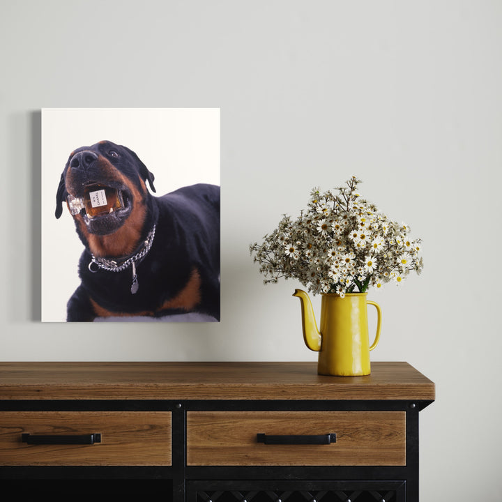 The artwork 'Guru with Chanel #5' by Dirk Westphal features a close-up photographic portrait of a Rottweiler wearing a silver chain collar against a white background. The dog's glossy black and brown coat creates a striking contrast, while a luxury brand perfume bottle rests playfully in its mouth. The signed photo is presented in a contemporary minimalist style, measuring 24x20 inches.