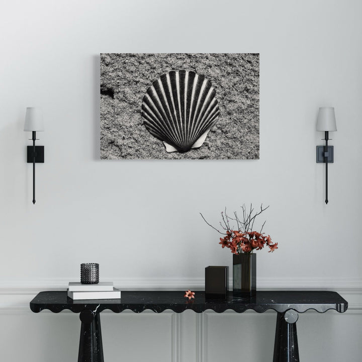 The artwork 'Lonely Shell' by Cavier Coleman features a striking black and white photograph of a solitary scallop shell on a textured sandy background. The shell's distinctive fan-shaped ridges create dramatic contrast and shadows, showcasing its natural geometric pattern. The monochromatic composition emphasizes the shell's intricate details and serrated edges against the grainy beach surface.