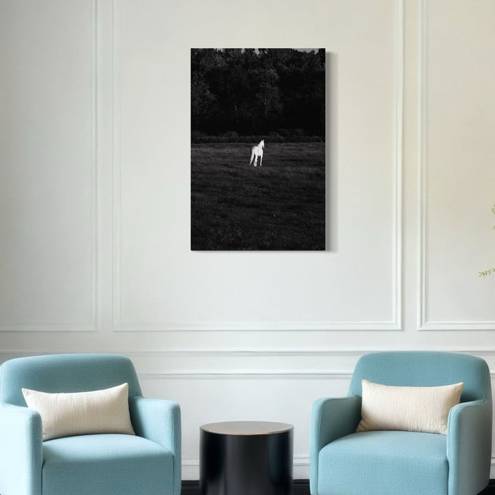 The artwork 'Spirit Horse' by Cavier Coleman features a solitary white horse standing in a misty meadow, captured in dramatic black and white photography. The composition shows the horse as a luminous figure against a dark, atmospheric background, creating a haunting ethereal quality. The minimal composition and high contrast emphasize the mystical nature of the scene.