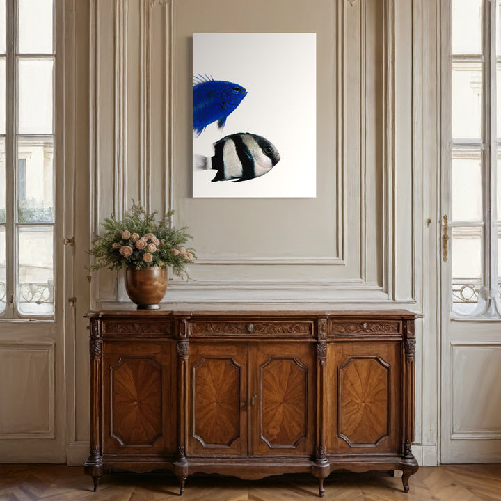 Woodcock Johnson by Dirk Westphal features a minimalist composition on white background, showcasing two abstract fish forms - one in vibrant cobalt blue and another in bold black and white stripes. The editioned photograph, measuring 40x30 inches, demonstrates striking contrast and elegant simplicity in its aquatic subject matter. - Dirk Westphal