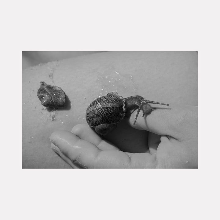 The artwork 'Communion IV' by Eunice Pais captures an intimate black and white photograph featuring a garden snail crawling across a human palm. The textured shell and delicate antennae of the snail are rendered in sharp detail, creating a striking contrast against the smooth skin surface. A second snail appears in soft focus, adding depth to the contemplative composition.