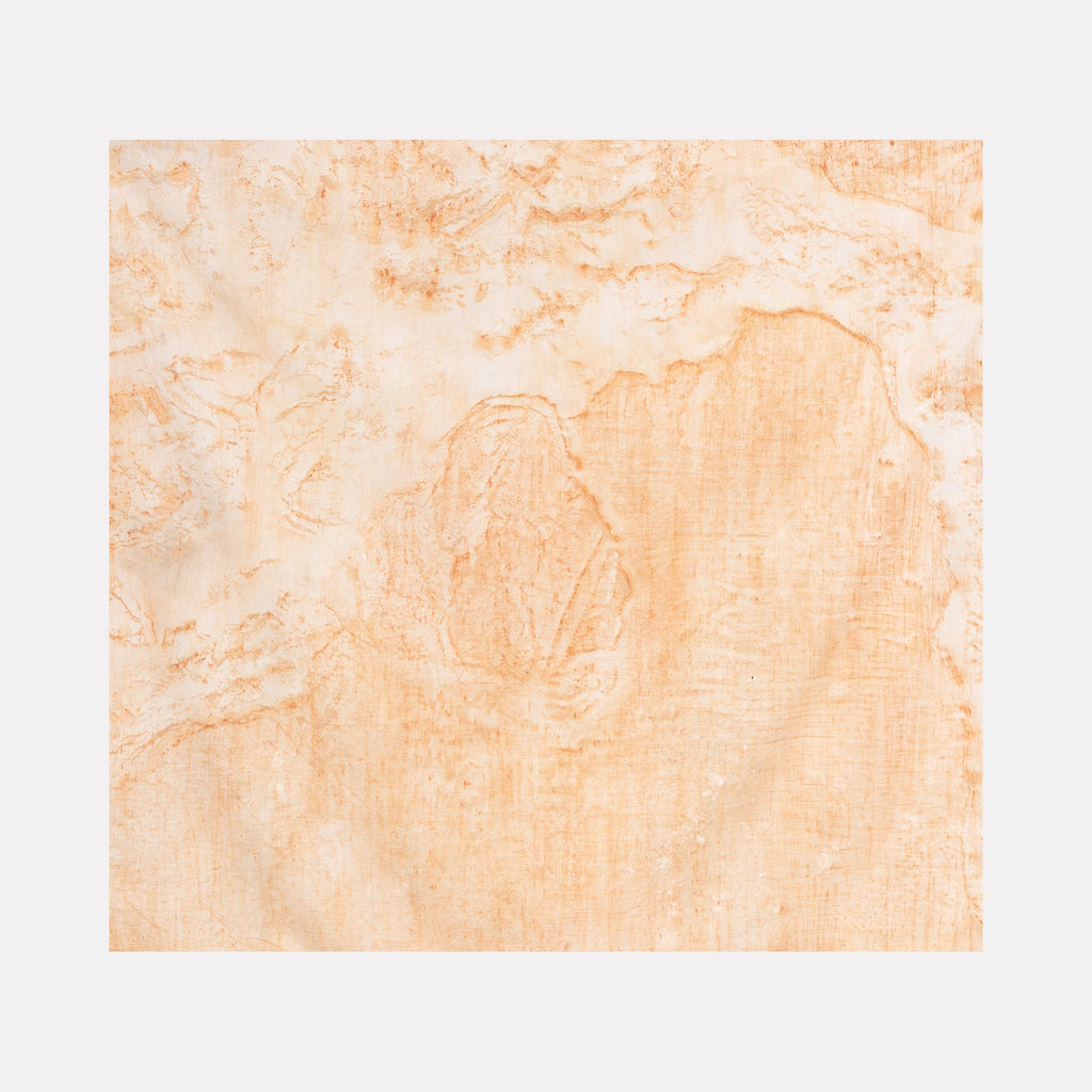 The artwork 'Distorsione di muro XV' by Jacqueline Ferrante features abstract textural elements in soft peach and cream tones. The composition displays a distressed, wall-like surface created with ash dye and mineral earth pigments on linen, showing organic patterns and subtle variations in texture reminiscent of weathered plaster.