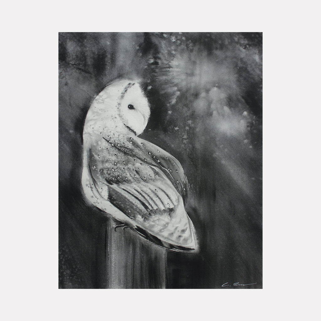 Barn Owl watercolor by Catherine Lencke features ethereal white owl with speckled wings perched against misty dark background