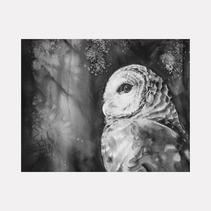 Barred Owl watercolor artwork features detailed black and white portrait of owl in forest setting, feather texture in soft strokes by Catherine Lencke