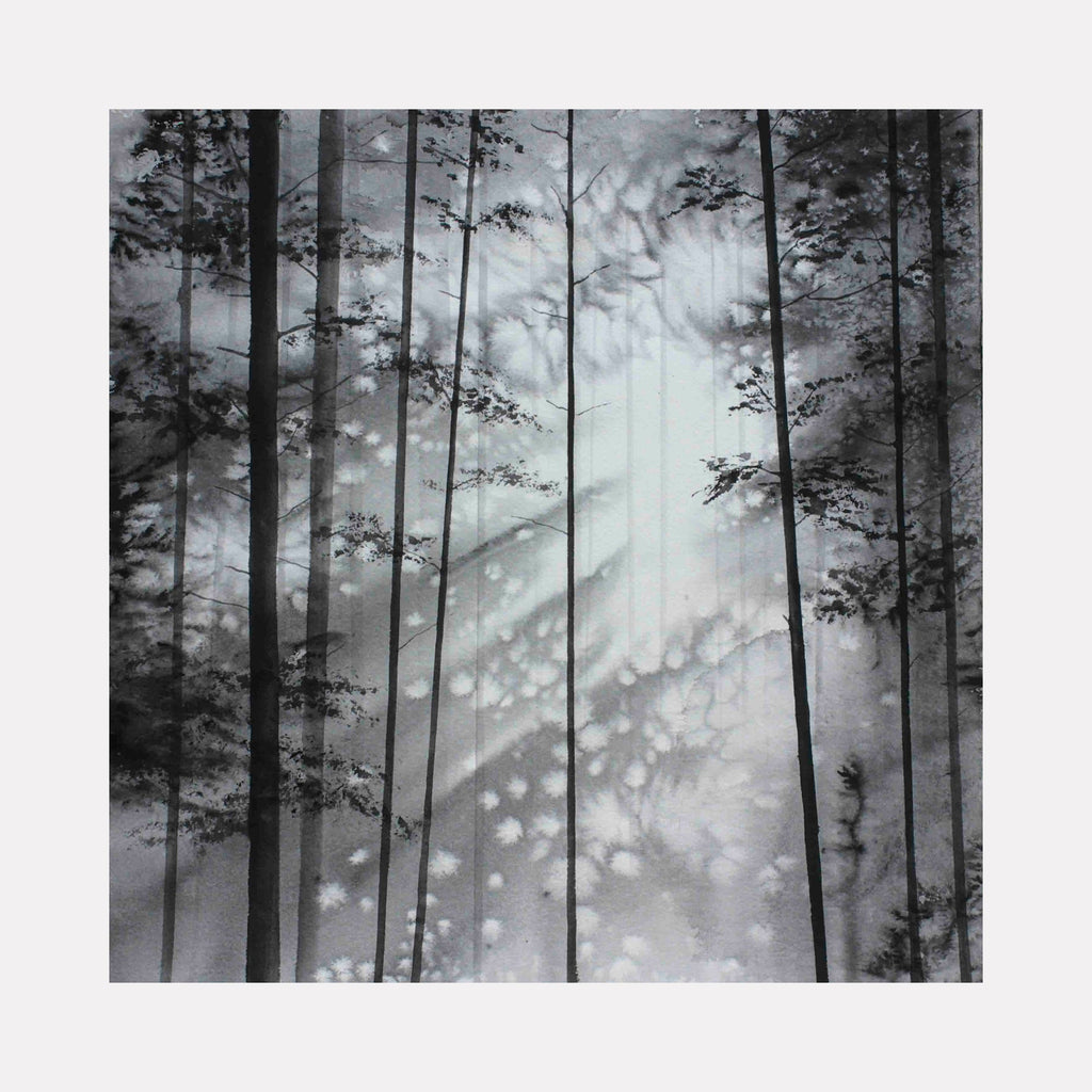 Cascading Light by Catherine Lencke depicts tall forest trees in silhouette with ethereal light filtering through misty branches in watercolor