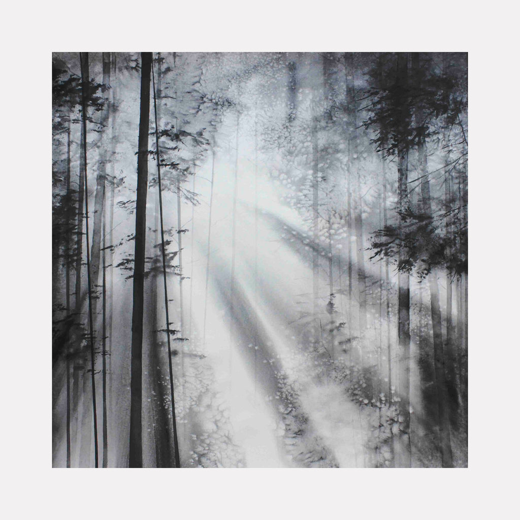 Echoes of Light by Catherine Lencke: Monochromatic watercolor of sunbeams piercing through misty forest, tall trees in silhouette