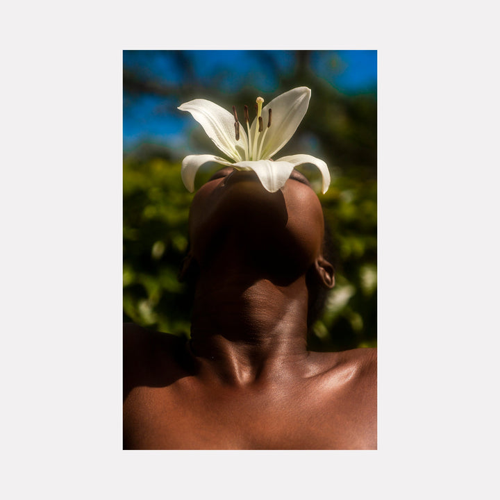 The artwork 'Flower Study IV' by Eunice Pais showcases an artistic composition with a pristine white lily balanced atop, set against a vibrant blue sky and green foliage background. The photograph features rich contrasts and elegant natural lighting, capturing the delicate petals and stamens of the lily in crisp detail. Fine art photography, 27x18 inches by Eunice Pais.