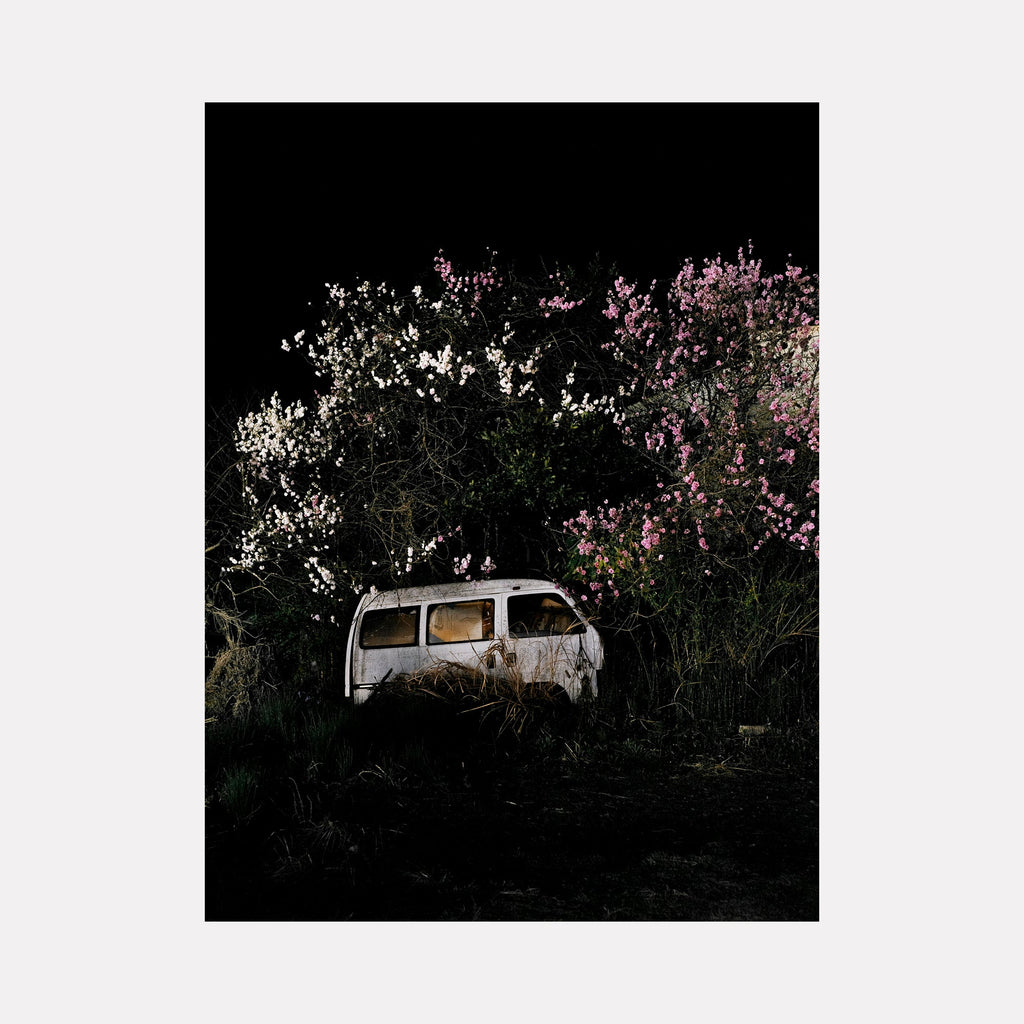 The artwork 'Forgotten Journey' by Garrett Carroll captures an abandoned white van nestled beneath blooming cherry and plum trees against a dark background. The photographic composition contrasts the weathered vehicle with delicate pink and white blossoms, creating a moody yet ethereal atmosphere. The 24x32 inch fine art photograph juxtaposes decay and natural beauty.