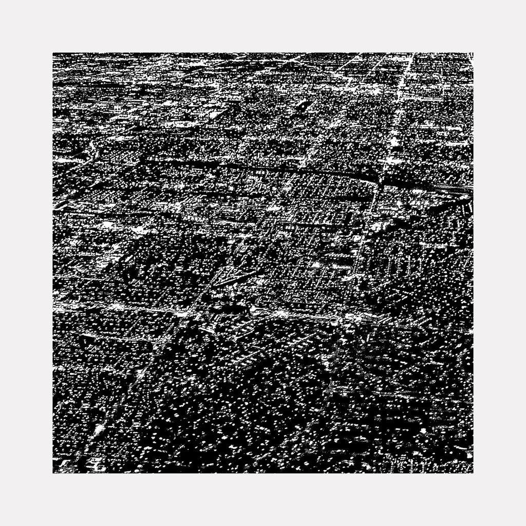 The artwork 'Los Angeles' by Neil Shapiro features a striking aerial black and white photograph of the sprawling LA cityscape, printed on textured Hahnemuhle paper. The image captures the vast urban grid pattern, residential neighborhoods, and dense metropolitan infrastructure stretching toward the horizon, showcasing the city's immense scale and geometric urban planning.