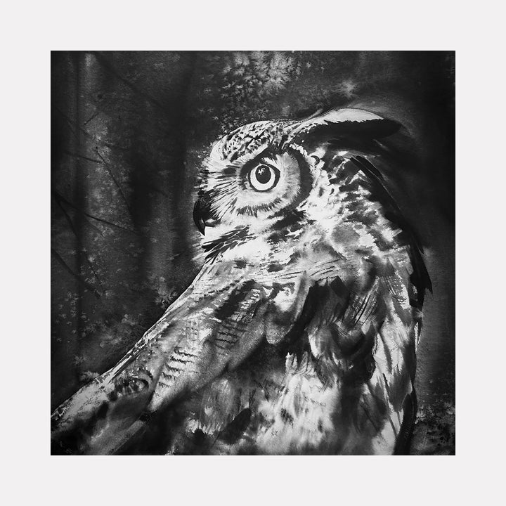 The Great Horned Owl by Catherine Lencke features dramatic black and white watercolor, depicting intense owl eye and textured feathers