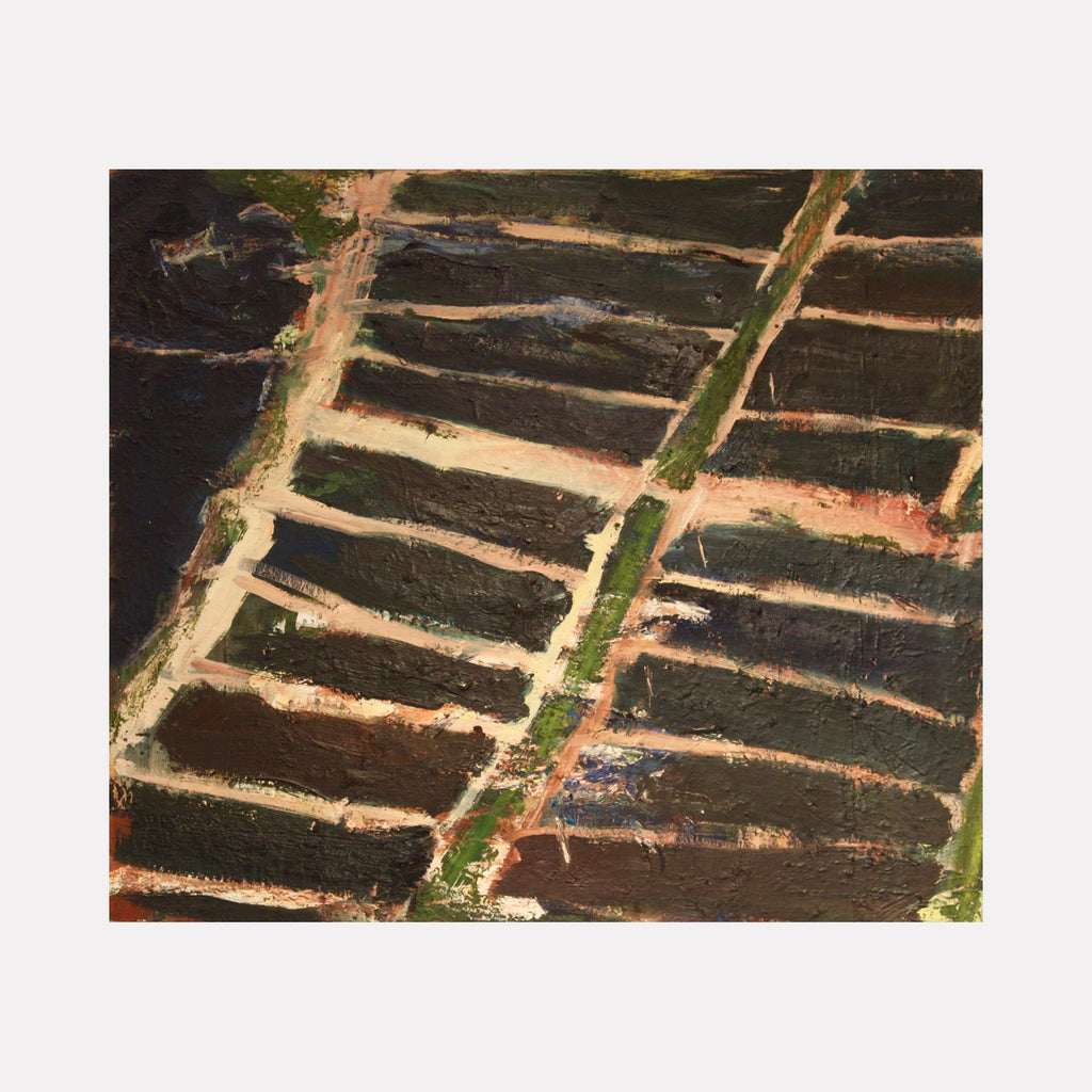 The artwork 'Water Grid' by Christopher Blyth features a striking aerial perspective of dark brown rectangular sections separated by contrasting pale beige paths and a vibrant green diagonal line. The oil on linen painting showcases a geometric pattern reminiscent of agricultural fields or urban planning grids, rendered with rich textural brushstrokes.