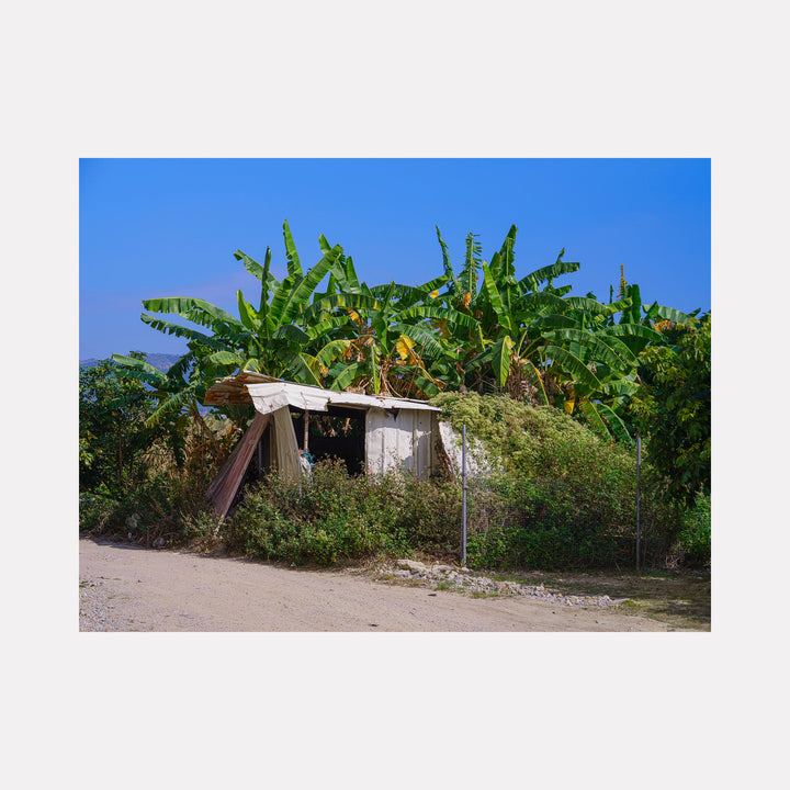 Your Home in Shantou - Series-3 by Garrett Carroll captures a rustic dwelling with vibrant banana trees growing atop its weathered roof. The structure features white walls and appears partially hidden behind wild vegetation. Against a bright blue sky, the tropical foliage creates a striking contrast with the modest architecture. Shot in natural daylight, the photograph showcases rural life in Shantou.