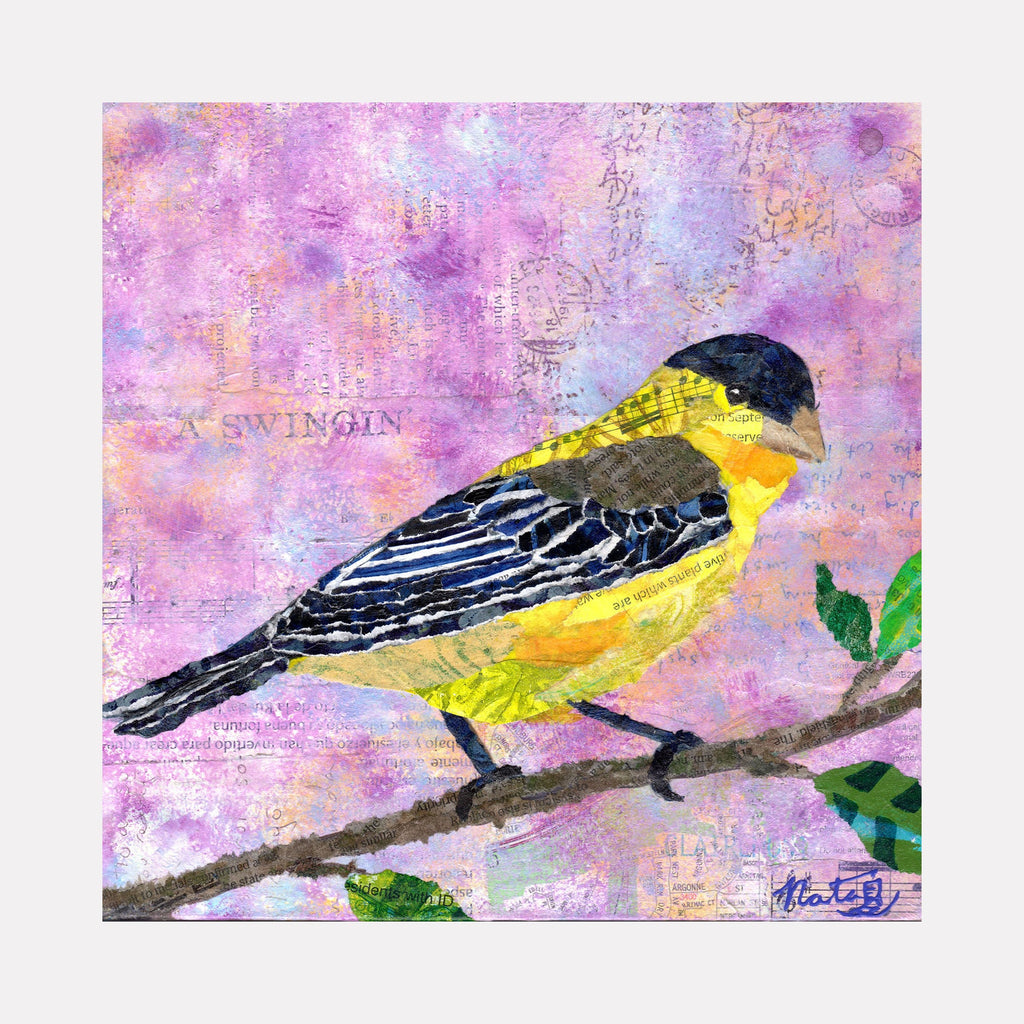 The artwork Backyard Birds: Mr. Lesser Goldfinch, by Natasha Papousek