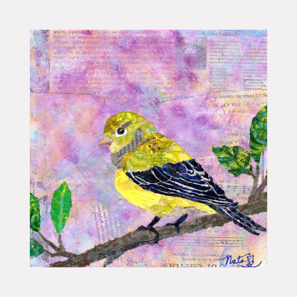 The artwork Backyard Birds: Mrs. Lesser Goldfinch, by Natasha Papousek