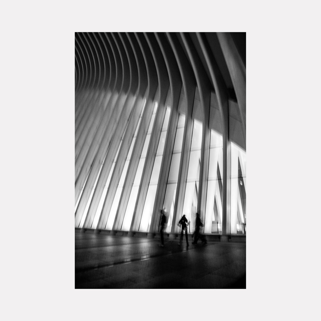 The artwork 'Blurred Lines' by Dennis Maida captures a dramatic black and white architectural photograph featuring soaring ribbed walls with angular lines creating dynamic shadows. Silhouetted figures stand in contrast against bright geometric patterns, emphasizing scale and perspective in this 36x24 inch modern architectural composition by Dennis Maida.