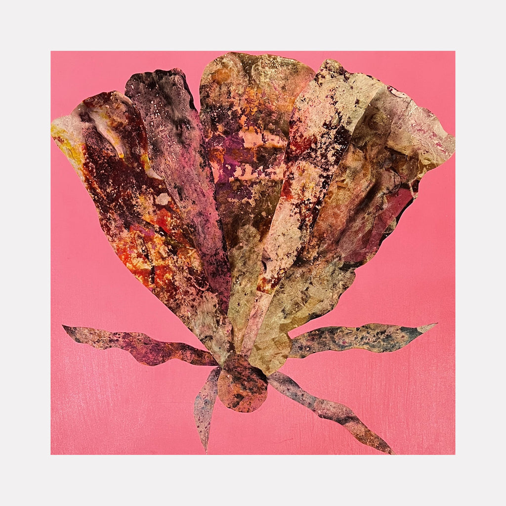 The artwork Pink Sea Fan 1, by Sunny Chapman