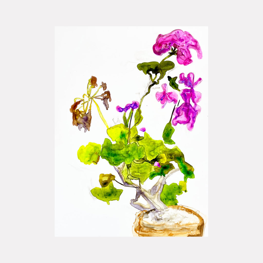 The artwork 'The Geranium' by Monica Carrier features vibrant watercolor-style florals with magenta pink blooms atop verdant green leaves, complemented by subtle yellow and brown accents. The delicate botanical illustration, rendered in archival ink on synthetic paper, captures the natural grace and movement of a geranium plant emerging from an earthy-toned base.